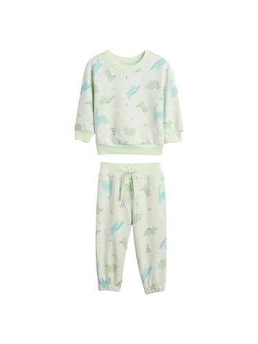 GAP Unisex Baby Novelty Fashion Knit Two Piece Set Pod Green 0-3M