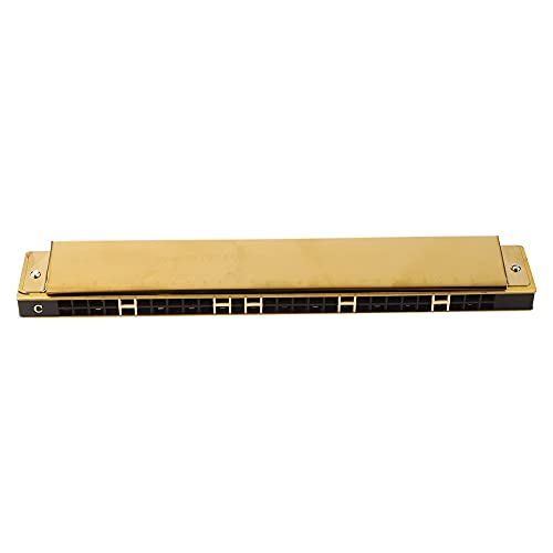 Harmonica, C Key Harmonica 28 Trous Harmonica de Type Polyphonie à Large Gamme avec Plaque de Couverture en Acier… - Les Beatles, Paul McCartney, John Lennon, RIngo Starr, George Harrison Harmonica, C Key Harmonica 28 Trous Harmonica de Type Polyphonie à Large Gamme avec Plaque de Couverture en Acier…
