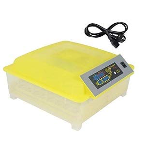 48 Eggs Chicken Duck and Poultry Automatic Incubator (Multicolour)