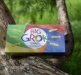 Miniatura 7 de GROK Grandes tarjetas de conversación para grupos grandes  150 tarjetas de sentimientos y necesidades + 25 juegos de terapia y rompehielos