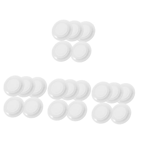 AUTSUPPL 20󒲍EJo[ h GARǌp tȒP zC