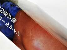 Amazon.co.jp: ナン・ゴールディン 悪魔の遊び場 Nan Goldin : おもちゃ