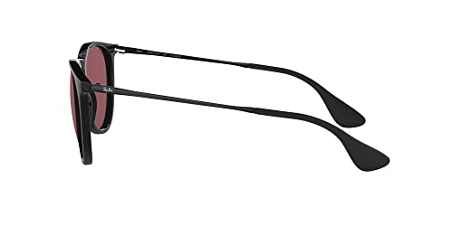 Image of Ray-Ban RB4171 Erika Round Sunglasses