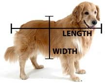 Miniatura 4 de Newnak's Pet Caskets - Ataúd para mascotas blancomorado, 3 tamaños -Memorial de entierro de pérdida de mascotas - Ataúd de mascotas para perros,