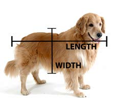 Newnak's Pet Caskets-Pet Casket Black/Silver (3 Sizes) Deluxe(Small) #TOP6