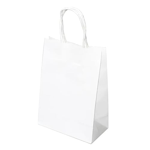 Sac en papier avec poignée élégant lot de 10 pochettes cadeaux pour surprendre vos proches