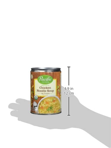 Pacific Foods Organic Chicken Noodle Soup, 13G Protein, Usda Certified Organic, 16.1 Oz (Pack Of 12) #TOP2