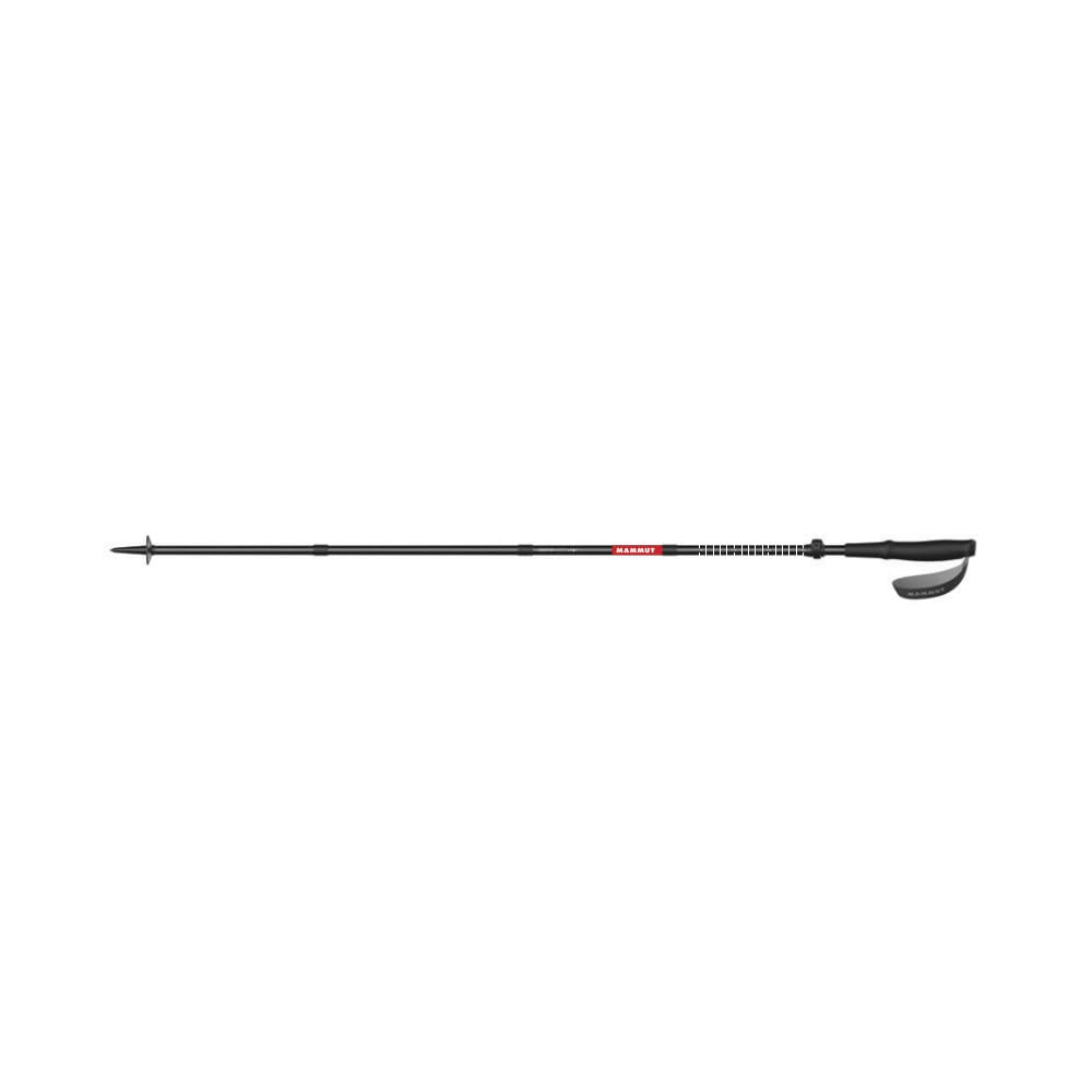 Taiss Poles