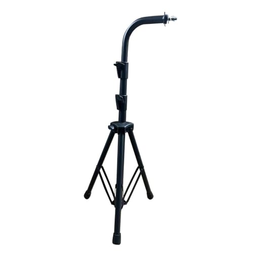 EiuuiojEBh`CAcwKҌ̒mߋASҌ̑ŊyAEBh`Ct (X^h)