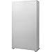 Barska 1170-Position Key Lock Box – Solid Steel Key Cabinet with Adjustable Numbered Hooks, Key Log Sheet, Color Tags & Index Chart – Wall-Mount Organizer, Grey Finish
