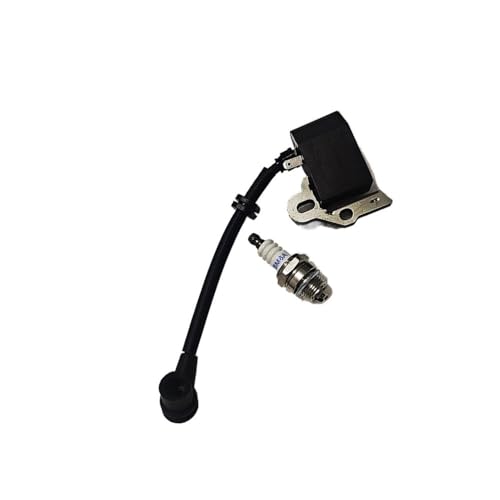 Bobine d'allumage et bougie BM6A pour OEM 302138 219848-00