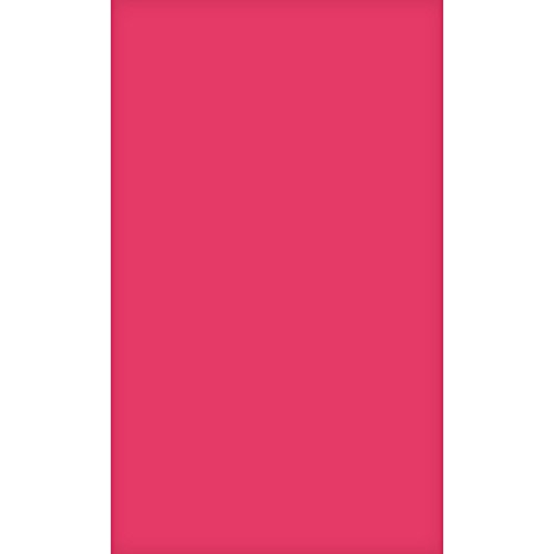Amscan 54-inch x 108-inch Bright Pink Plastic Table Cover, 12/Pack (77015.103)