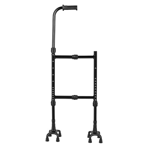 450lb Standing Stair Lift Cane