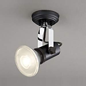 Amazon.co.jp: オーデリック LEDスポットライト 防雨型 壁面・天井面