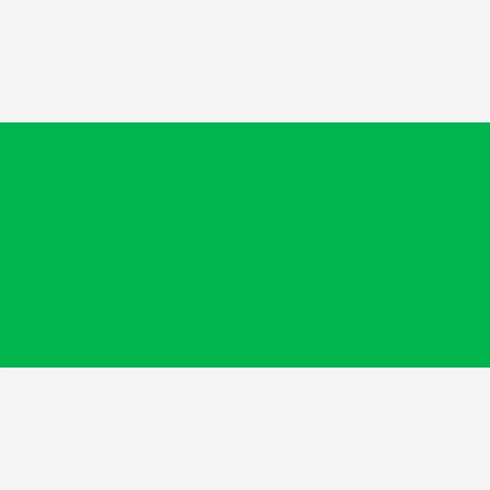 Aqua Standard 1 Litre Mid Green Ink - Screen Printing Ink for Fabric - Ideal Screen Printing Kit for Home Office, Starter Kit, Fabric Paint, Screen Printer and Other Fabric Ink