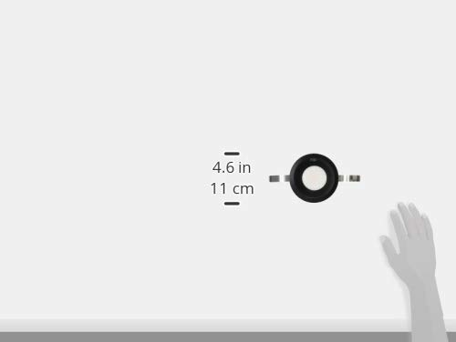 Amazon.co.jp: 大光電機（DAIKO） ダウンライト(軒下兼用) LED
