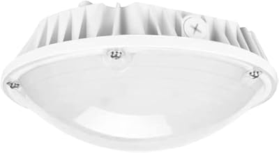 OSTEK LED Canopy Light 30W/40W/60W LED Carport Canopy Lights 5000K 90-277V IP65 Commercial Residential Lights DLC & UL Listed