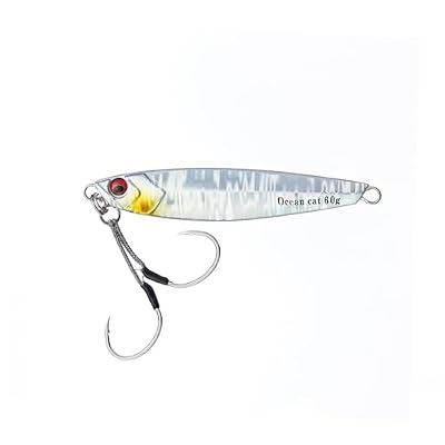 OCEAN CAT Multicolor Saltwater Fishing Jigs, Flat Fall Jigging Lures, Sinking Jig, Lead Metal Jig Baits with J Hook