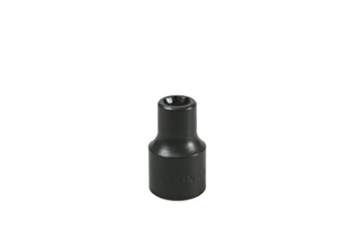 Lisle 26820 E-10 Torx Socket douille mécanique moteur automobile