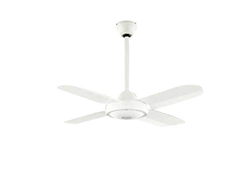 I[fbN V[Ot@ zCg ^  XΓV R ȈՎt yOJC-005z