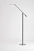 KONCEPT Equo LED Floor Lamp (Warm Light, Black Finish), ELX-A-W-BLK-FLR