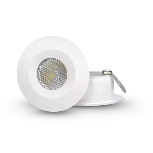 Image of Panasonic 2 Watt Spotlight, for False Ceiling, Energy Efficient, Cutout 35mm, Surge Protection, 15000+ Hrs Lifespan (PSPM01023R1)