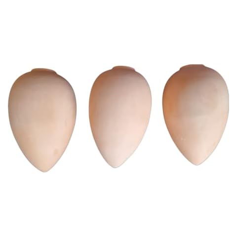 Yorkshire Discounts Large Traditional Plant Watering Terracotta Bottles - prevent over/under watering - self watering for Indoor & Outdoor Plants Cover