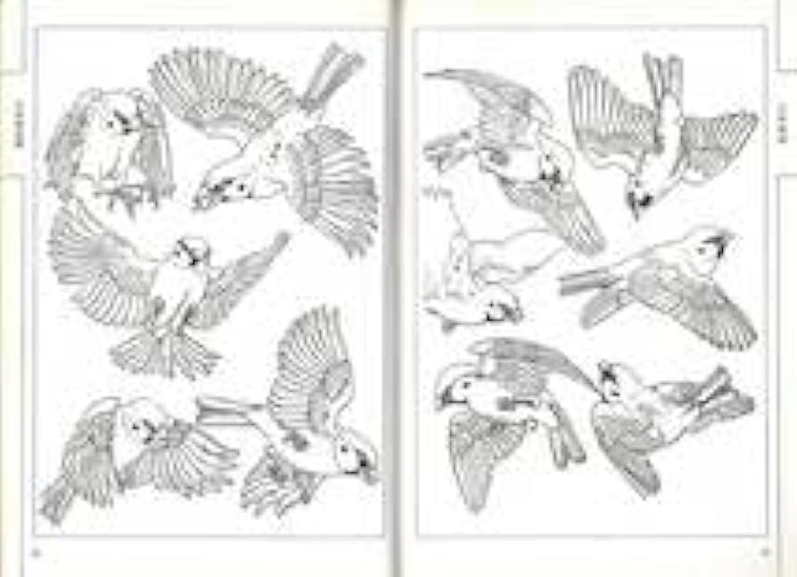 鉛筆画 雀 スズメ やまもと ゆうじ on X: