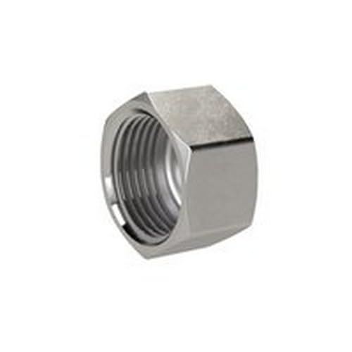 Capuchon de fermeture étanche G 2 IG RIEGLER en inox 1.4408 pour haute pression SW 65