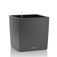 Lechuza Cube Color 14 Plantenbak met irrigatiesysteem, leigrijs, 14 x 14 x 14 cm, set van 3 Lechuza Cube Color 14 Plantenbak met irrigatiesysteem, leigrijs, 14 x 14 x 14 cm, set van 3