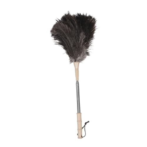 HEALEEP Plumero de Avestruz Herramienta limpiadora de Plumero para de Madera Plumero de Techo con Barra de extensión Plumero telescópico Acero Inoxidable Beige