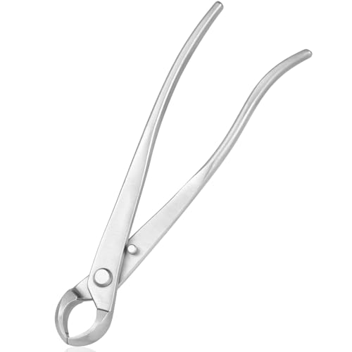 Cortador cóncavo de 8 pulgadas en acero inoxidable miniatura 1