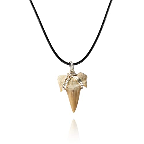 Top 10 Best Shark Tooth Necklaces 2023 Reviews