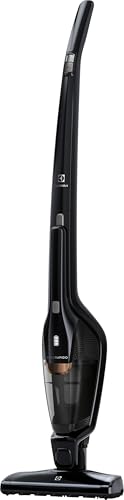 Electrolux Ergorapido Classic 2 en 1 EERC73EB aspirateur sans fil