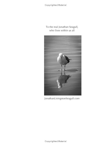 JOHNATHON LIVINGSTON SEAGULL - image 4