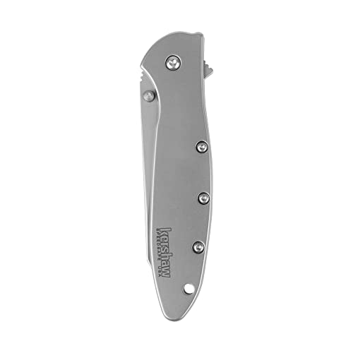 Image of Kershaw Leek, BlackWash Pocket Knife (1660BLKW); 3 Sandvik 14C28N Steel Blade, 410 Stainless Steel Handle, BlackWash Finish, SpeedSafe Assisted Open, Frame and Tip Locks, Reversible Pocketclip; 3 OZ
