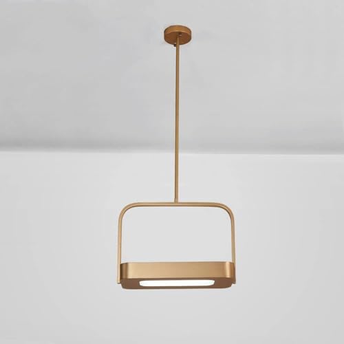 Lustre créatif LED pour étude et cuisine au plafond réglable