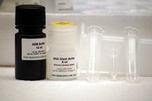 Gel - CleanSpin- 96 Well- (192 preps), PK192