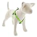 48145 3/4x20-30GD Dog Harness - Quantity 6