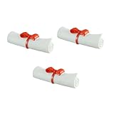 Ornement de parchemin de certificat : convient pour être placé sur un pot de fleurs, un rebord de fenêtre, une étagère, une armoire comme décoration, décoration de paysage