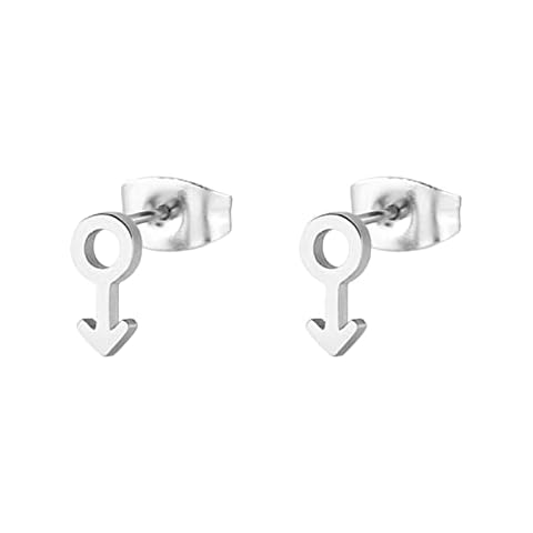 Skcess Silver Funky Earrings, Stainless Steel Stud Earrings for Women Male Symbol Earrings Jewelry Gift for Women and Girls Cover