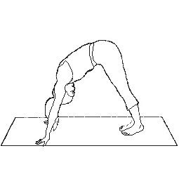 DAVINA-MCCALL-Unisexs-Yoga-MAT-Orange-One-Size