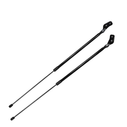 Tige hydraulique et vérins à gaz de hayon pour coffre R2 RC1/RC2