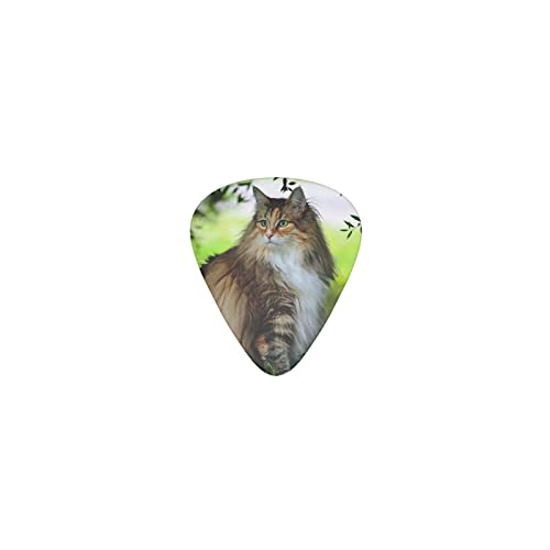 ꂢȔL X̒ fUCM^[sbN guitar pick eBAhbv^ GLM^[/AR[XeBbNM^[/NVbNM^[/x[X̗KɍœK12Zbg