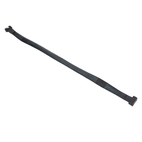 RASTKY Schnelle Übertragung SAS4.0 24 Gbit/s Datenkabel, für Server Cloud Computing Enterprise Storage System, 0,5 M