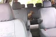 Durafit Seat Covers, HD5-W3 Seat Covers for All 3 Rows of The Honda Odyssey 7 Passenger in Tan Automotive Velour.