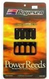 FANTIC Trial Power Reed Kit 50 K-Roo / 125 1990-1997/212 1992-1996/249 1990-1995/250 1990-1997/309 1992-1994 Boyesen Motorcycle/ATV 6TR108