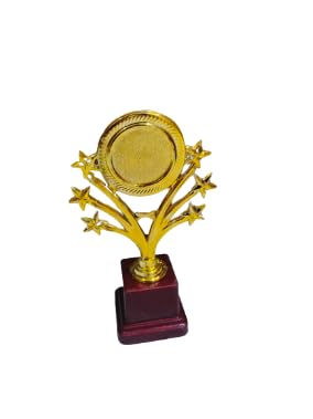 Metallic Fiber 6 Star Golden Winning Trophy/Award for Winners (6-star 21.50 cm Set of 3) (B0CYCDLJQC) Amazon Price History, Amazon Price Tracker
