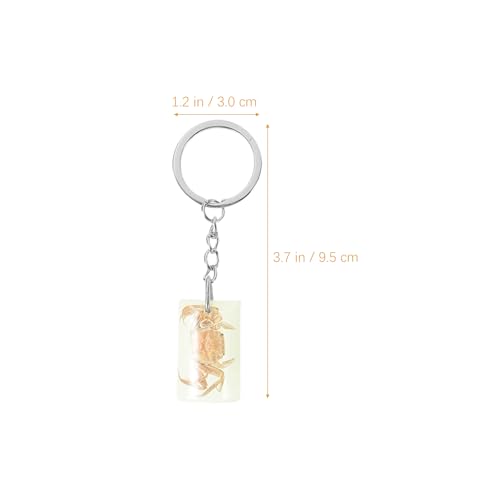 Image of balacoo Insect Specimen Keychain- 12Pcs Creative Insect Amber Specimen Pendant, DIY Key Ring