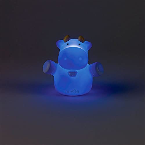 Luce Notturna S-MUCCA - 2